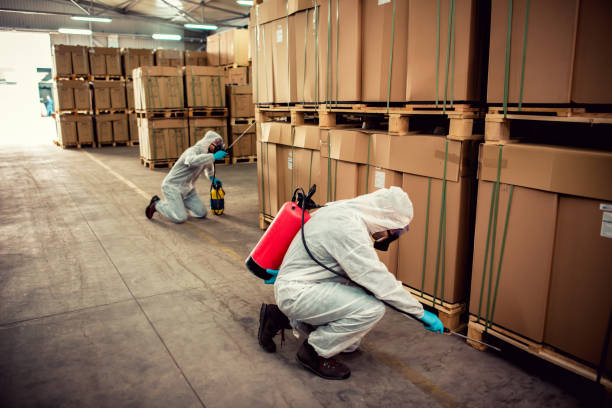 Best Exterminator Services  in Fairland, OK