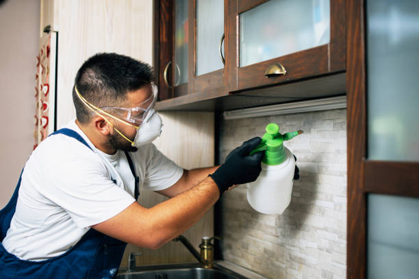 Pest Prevention Services in Fairland, OK