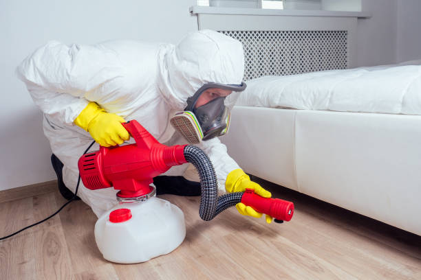 Best Affordable Pest Control Services  in Fairland, OK