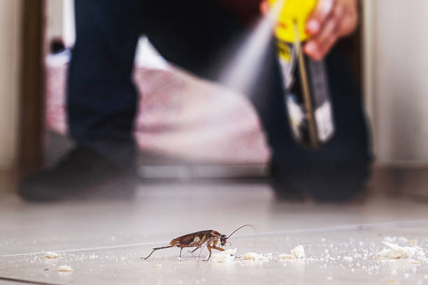 Best Affordable Pest Control Services  in Fairland, OK