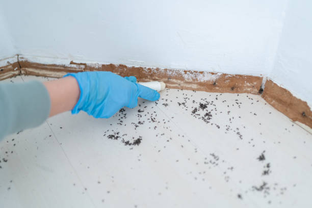 Best Pest Inspection Near Me  in Fairland, OK